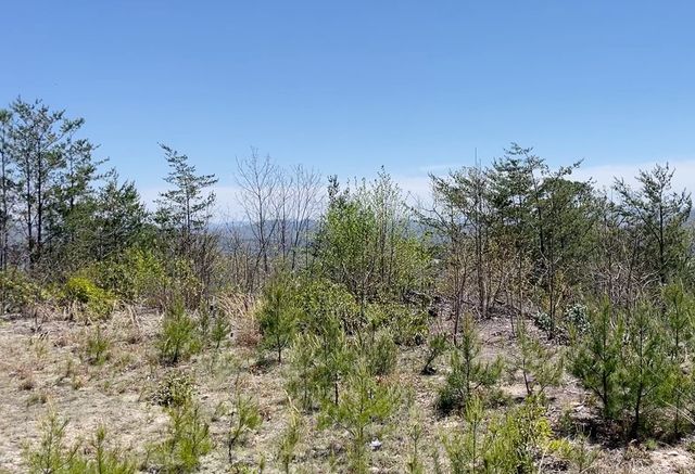 0 Sunrise Mountain Estates, Murphy, NC 28906