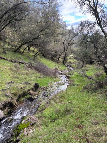 6340 Roller Coaster Rd, Garden Valley, CA 95633