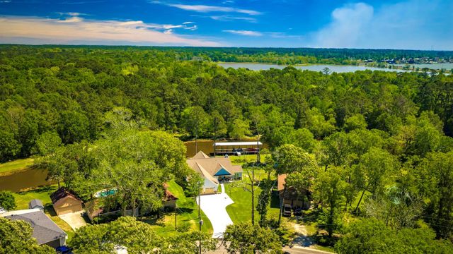 229 Knollwood Creek, Onalaska, TX 77360