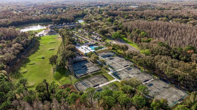 6509 STONINGTON DRIVE S, Tampa, FL 33647