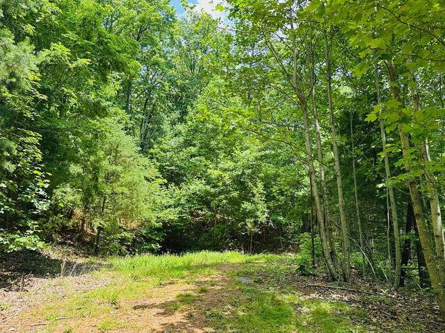Lot 15 View Ridge Trail, Murphy, NC 28906
