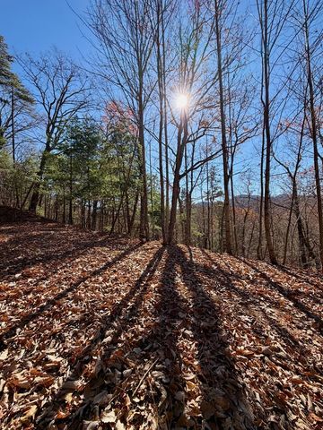 Lot 15 View Ridge Trail, Murphy, NC 28906