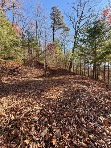Lot 15 View Ridge Trail, Murphy, NC 28906