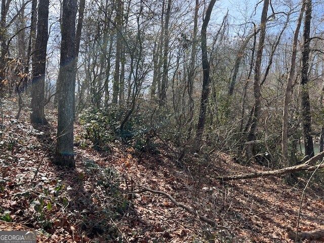 LOT 5 Old Hwy 64 E, Hayesville, NC 28904