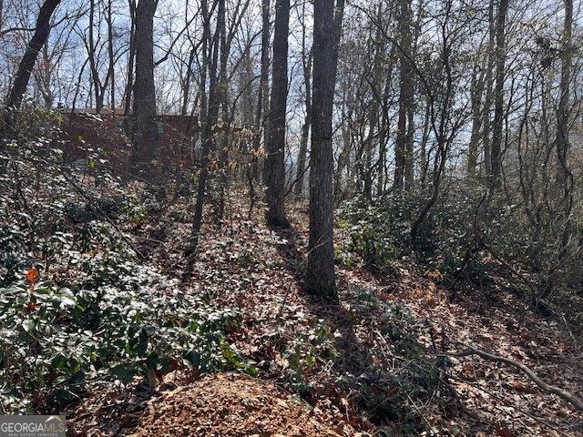 LOT 5 Old Hwy 64 E, Hayesville, NC 28904