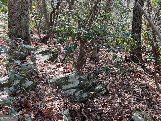 LOT 5 Old Hwy 64 E, Hayesville, NC 28904