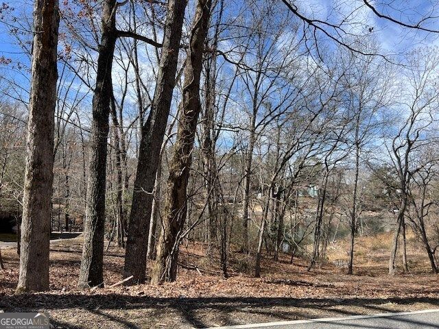 LOT 5 Old Hwy 64 E, Hayesville, NC 28904