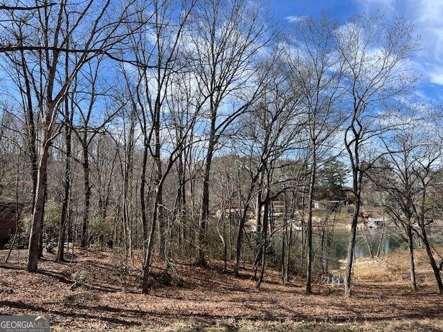 LOT 5 Old Hwy 64 E, Hayesville, NC 28904