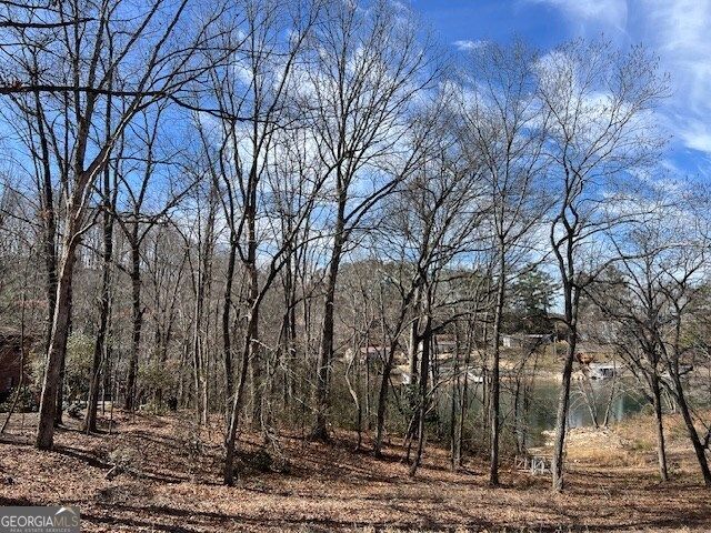 LOT 5 Old Hwy 64 E, Hayesville, NC 28904