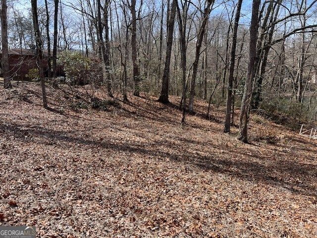 LOT 5 Old Hwy 64 E, Hayesville, NC 28904