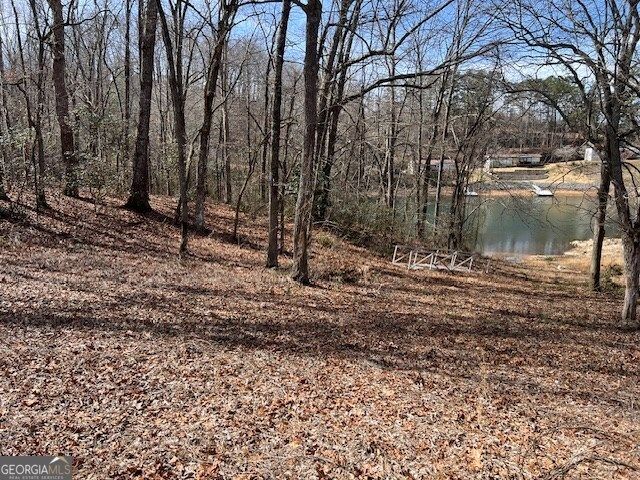 LOT 5 Old Hwy 64 E, Hayesville, NC 28904