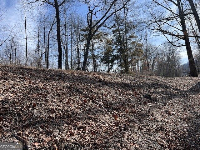 LOT 5 Old Hwy 64 E, Hayesville, NC 28904