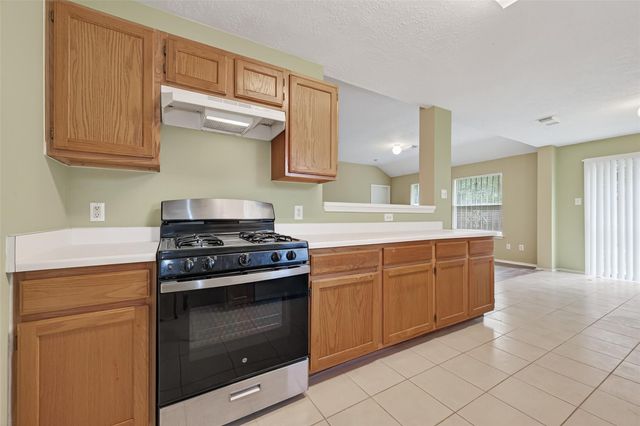 13715 Naomi Hollow Lane, Houston, TX 77082