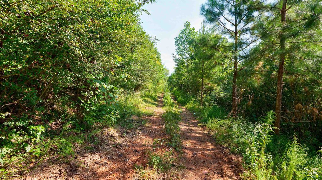 0 Mccoy Bridge Road, Homer, GA 30547 — photo 5