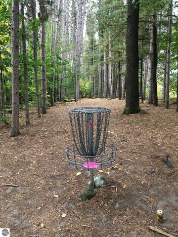 1546 Nightingale Lane, Kingsley, MI 49649