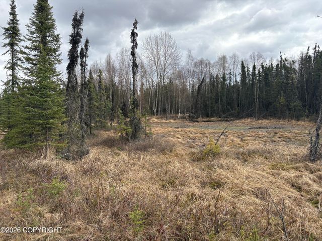 7001 W Captain Hook Drive, Wasilla, AK 99623