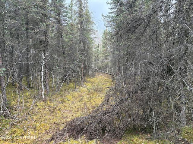7001 W Captain Hook Drive, Wasilla, AK 99623