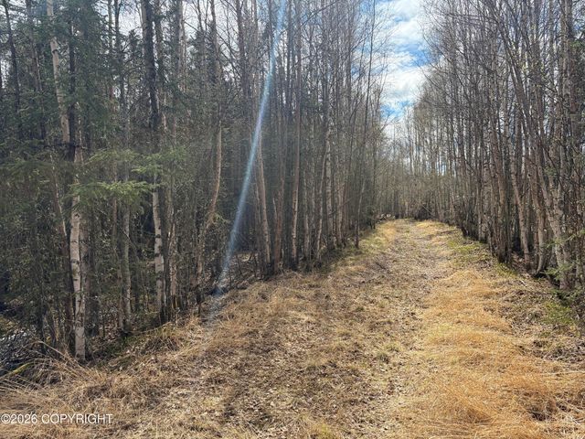 7001 W Captain Hook Drive, Wasilla, AK 99623