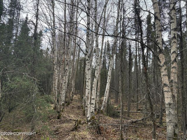 7001 W Captain Hook Drive, Wasilla, AK 99623