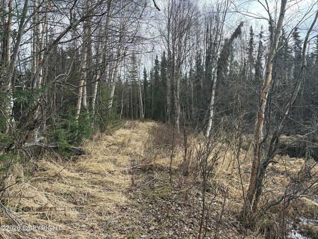7001 W Captain Hook Drive, Wasilla, AK 99623