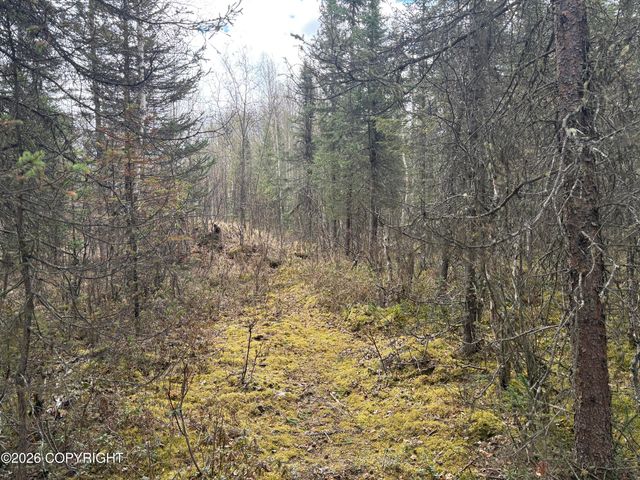 7001 W Captain Hook Drive, Wasilla, AK 99623