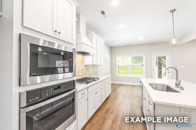 207 Cave Lake, Owens Cross Roads, AL 35763