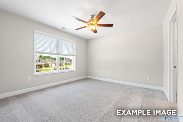 207 Cave Lake, Owens Cross Roads, AL 35763