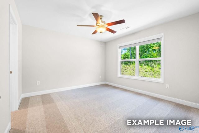 207 Cave Lake, Owens Cross Roads, AL 35763