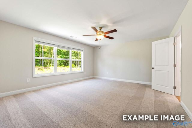 207 Cave Lake, Owens Cross Roads, AL 35763