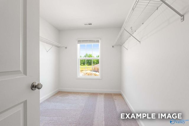 207 Cave Lake, Owens Cross Roads, AL 35763