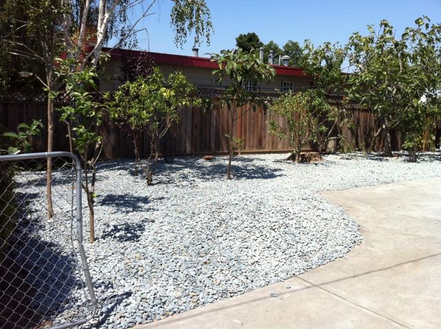 541 Madera Avenue, San Jose, CA 95112