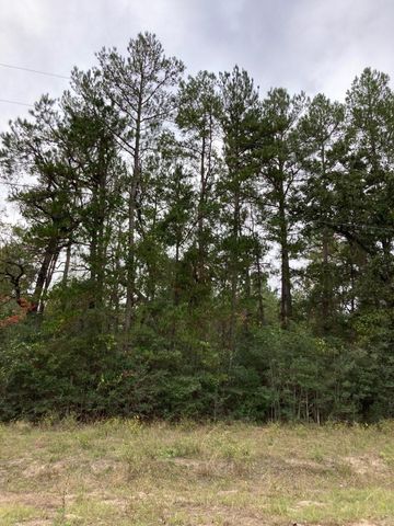 16596 Camelia Lane, Plantersville, TX 77363