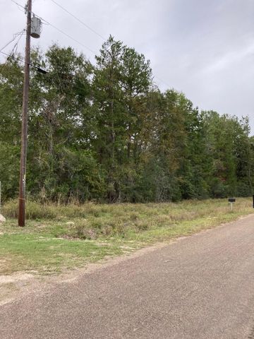 16596 Camelia Lane, Plantersville, TX 77363