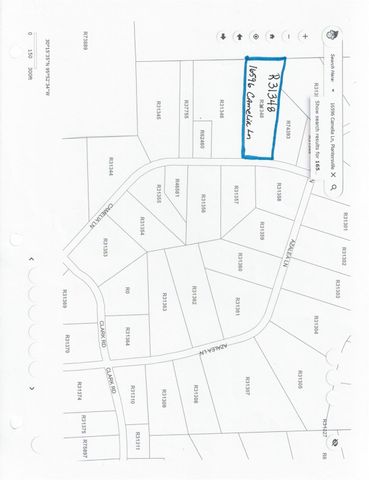 16596 Camelia Lane, Plantersville, TX 77363