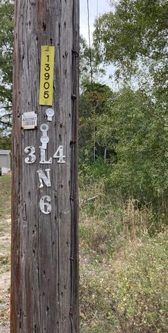 16596 Camelia Lane, Plantersville, TX 77363
