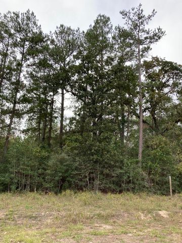 16596 Camelia Lane, Plantersville, TX 77363
