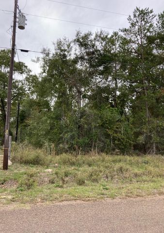 16596 Camelia Lane, Plantersville, TX 77363