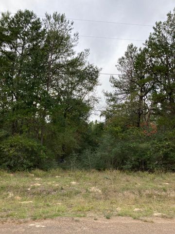 16596 Camelia Lane, Plantersville, TX 77363