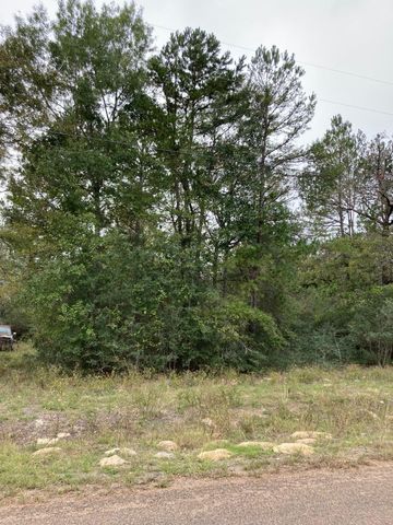 16596 Camelia Lane, Plantersville, TX 77363
