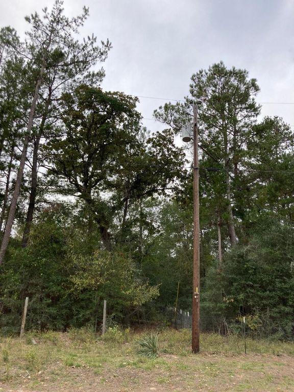 16596 Camelia Lane, Plantersville, TX 77363