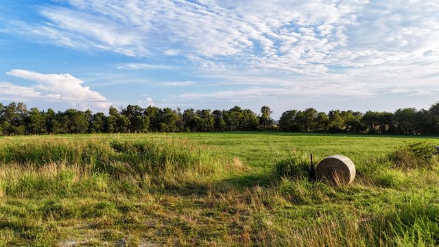 000 West Farm Road 124, Bois D Arc, MO 65612
