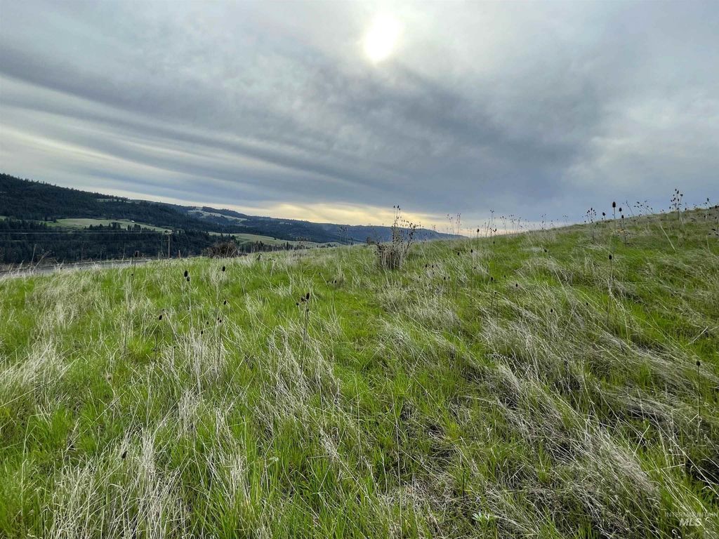 TBD Starthistle Lane, Lenore, ID 83541 photo 3