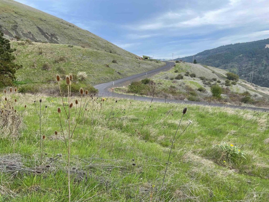 TBD Starthistle Lane, Lenore, ID 83541 photo 5