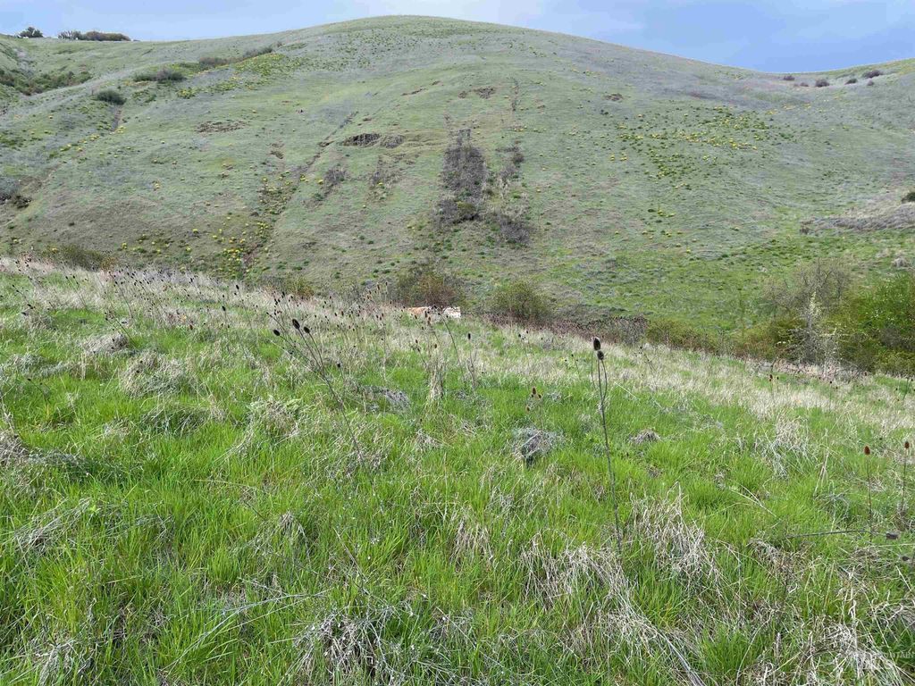 TBD Starthistle Lane, Lenore, ID 83541 photo 7