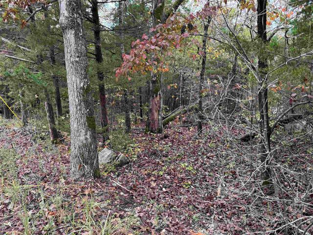 1300 Hummingbird Lane, Horseshoe Bend, AR 72512