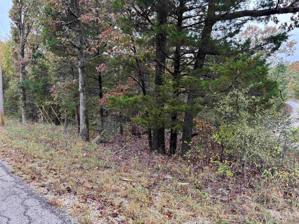 1300 Hummingbird Lane, Horseshoe Bend, AR 72512