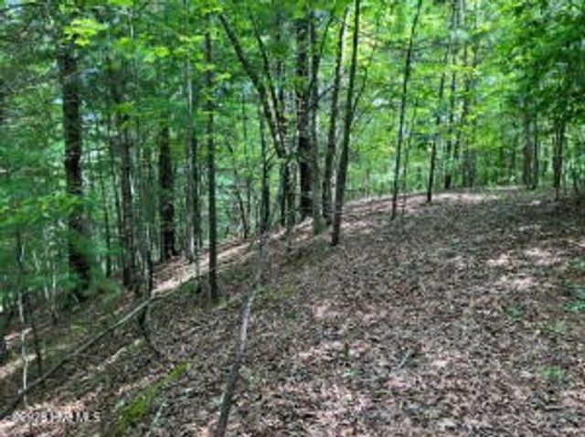 Lot 11 Green Cove Circle, Murphy, NC 28906