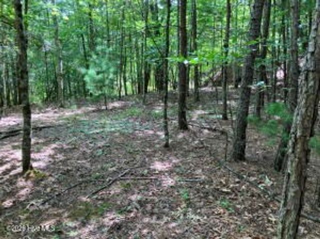 Lot 11 Green Cove Circle, Murphy, NC 28906