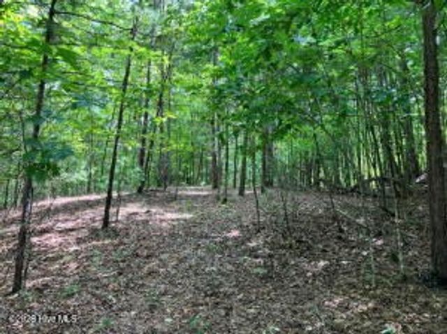 Lot 11 Green Cove Circle, Murphy, NC 28906