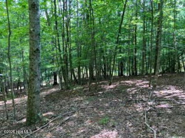 Lot 11 Green Cove Circle, Murphy, NC 28906